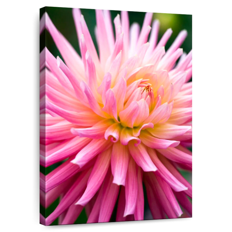 Harnek Dahlia Jeanne D'Arc, H 39 po x l 26 po