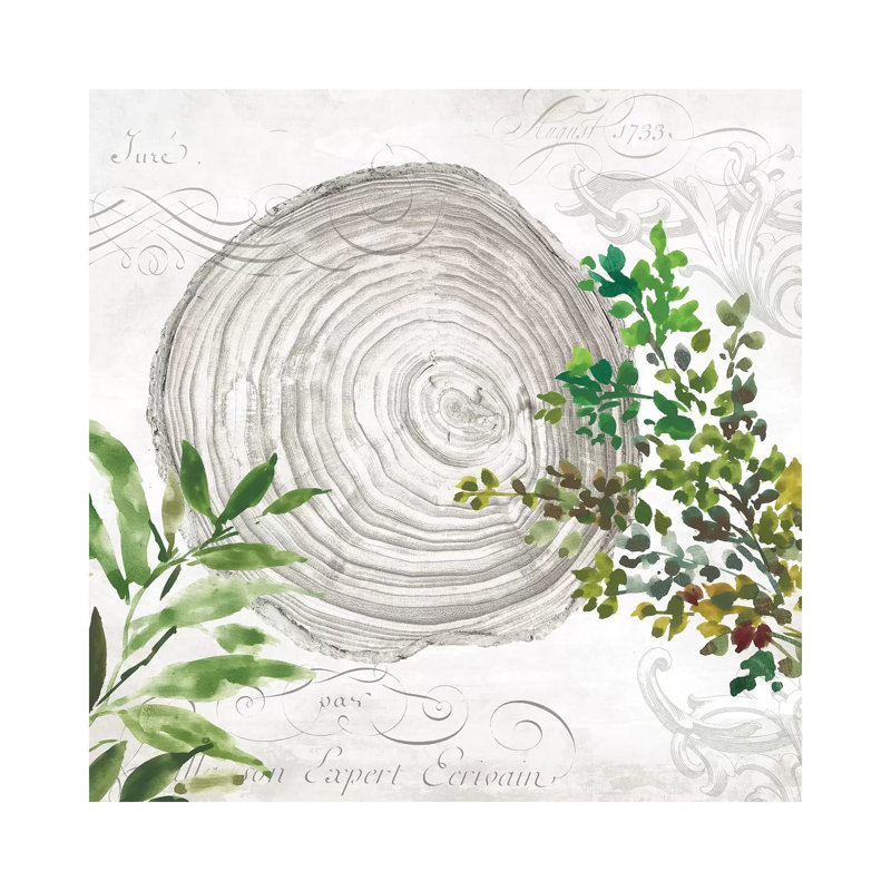 Eco III by Aimee Wilson - Wrapped Canvas Print, 30.48 cm H x 30.48 cm W