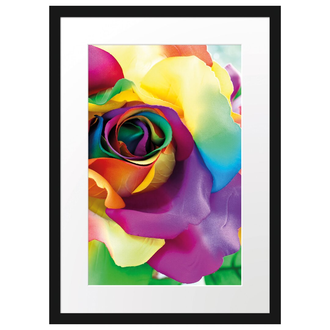 Gerahmtes Poster Bunte Rosen