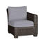 Rustic Patio Lounge Chair with Cushions-1110726972-1147648276-1172305671