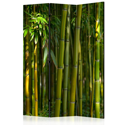 Pattinson 172cm H Folding Room Divider