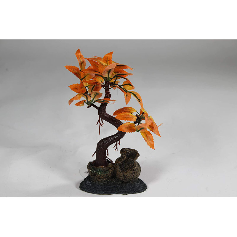 Accessoire d'aquarium