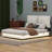 Kayri Upholstered Platform Bed with Sensor Light and Backrests-1524254157-1524254158