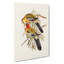 Splendid Parakeets by Elizabeth Gould - Wrapped Canvas-55318628