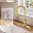 Pull Down Single Handle Kitchen Faucet With Deck Plate, Handles and Supply Lines-86502925