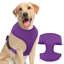 Harnais pour chien en maille, harnais anti-traction ajustable et rembourré avec anneau en D et boucle pour chiens-2013099464-2013099465