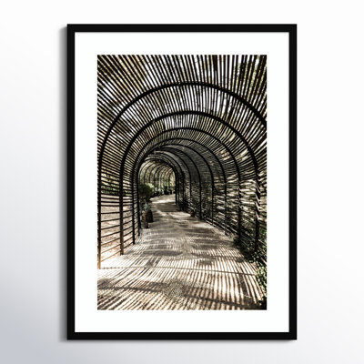 Shadow Garden by Shot by Clint Wood Framed Wall Art Print