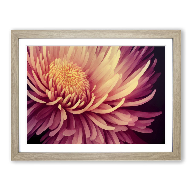 Contemporary Chrysanthemum Flower - Framed Print, 25cm H x 34cm W x 2cm D, Oak