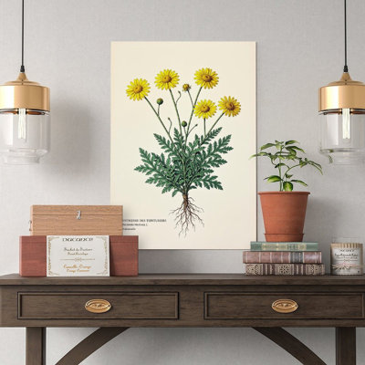 Canvas Wall Art Vintage Botanical Illustration Of Anthem Wall Art Vintage Poster Print Home Decor