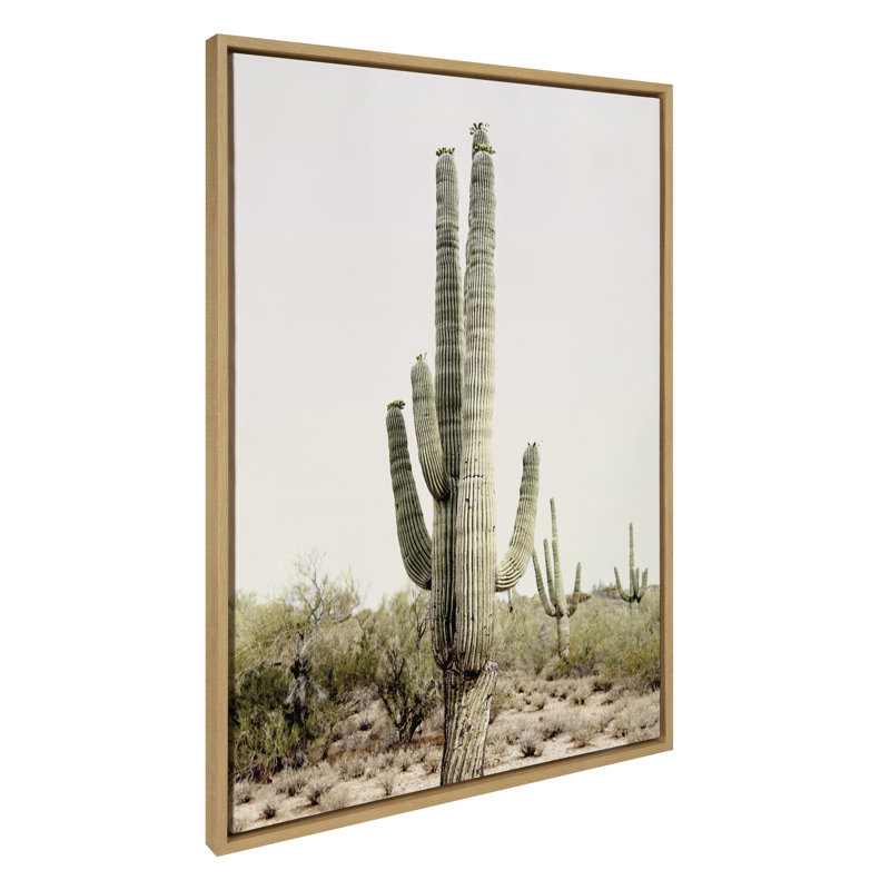 «Sunrise Cactus» par Amy Peterson, reproduction d'art sur toile encadrée, H 28 po x l 38 po, Naturel