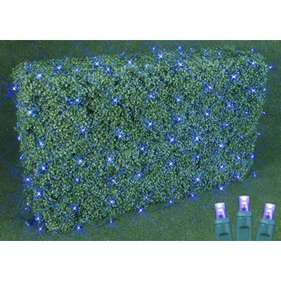 LED Net Lights
