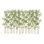 Adcock Bamboo Hedge