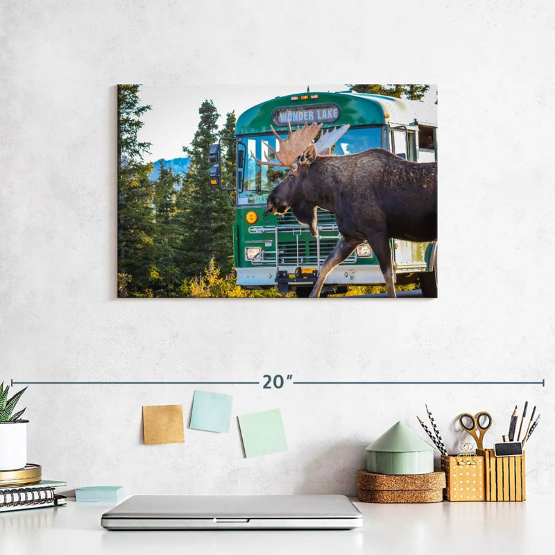 Crowle Denali Moose, 8" H x 12" W