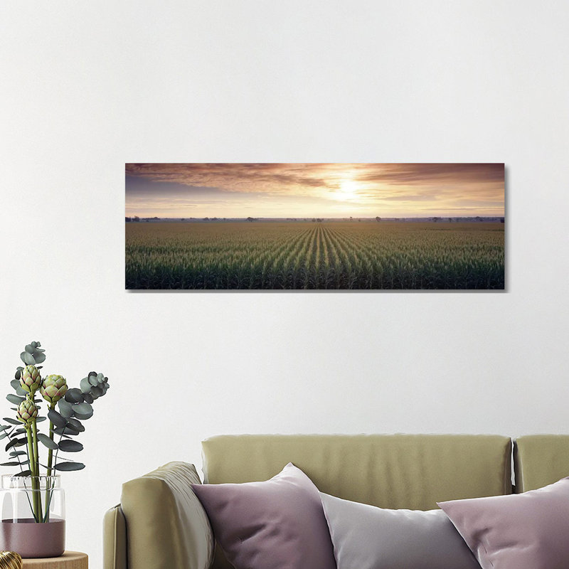 View of Corn Field at Sunrise, Sacramento, California, USA 1 Piece Wrapped Canvas Panoramic Wall Art
