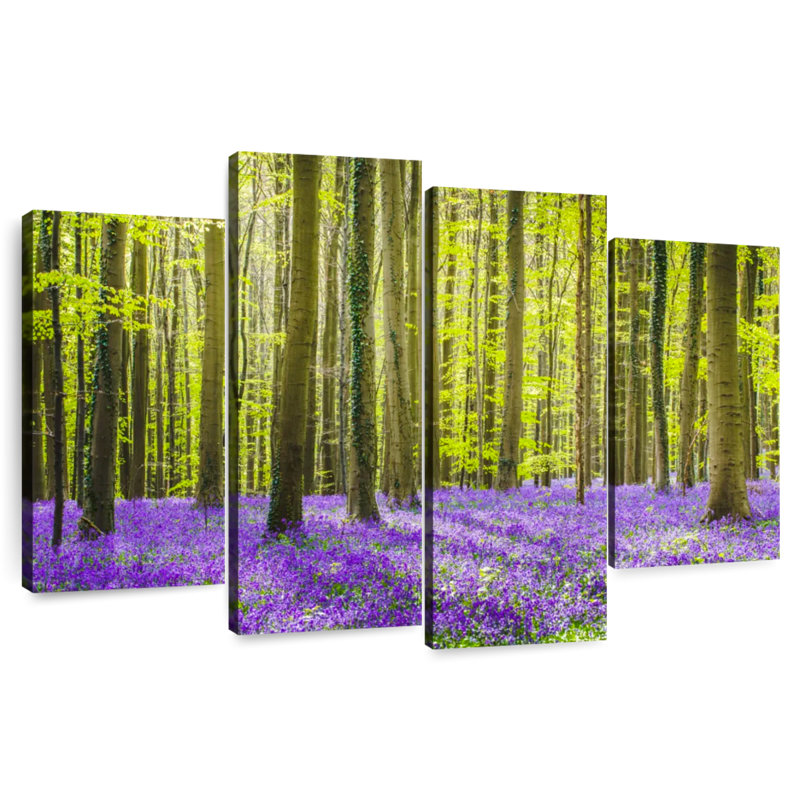 Albord Hallerbos Bluebells, H 27 po x l 43 po