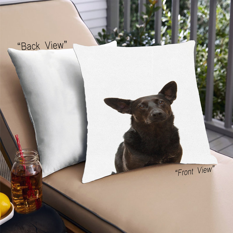 Coussin Dogs Dogs 17, Microsuède