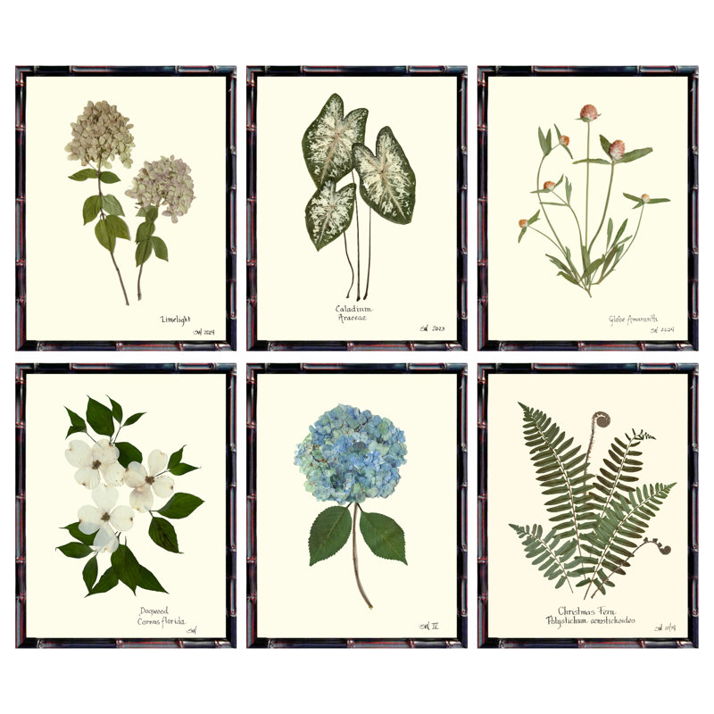 Pressed Botanical Set by Sandy Whitaker, 42.5" H x 51.75" W