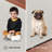 Jenis Indoor Rug-258126786