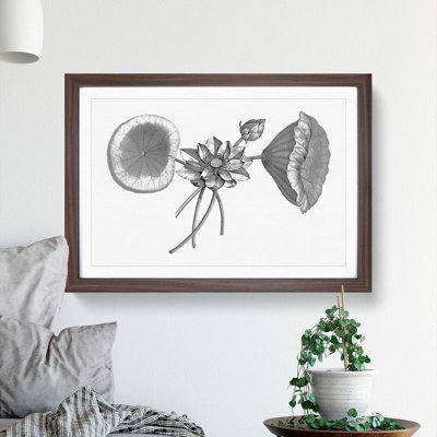 Sacred Lotus Flowers - Picture Frame Drawing Print