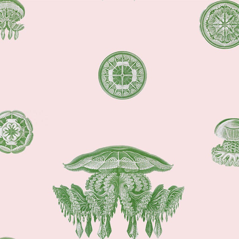 Symphony, Non-Woven, Limeaid