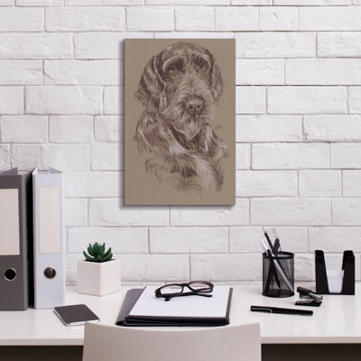 Kemyra " German Wirehaired Pointer " by Barbara Keith