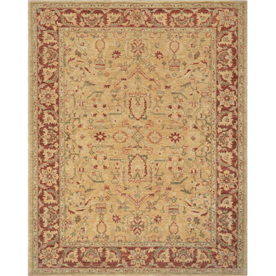 Agra Wool Oriental Indoor Rug