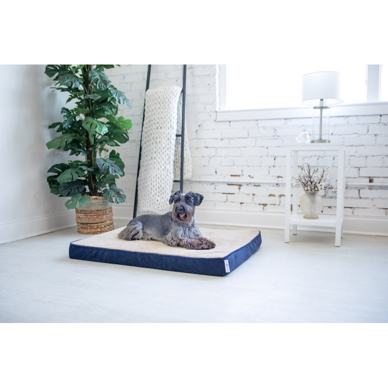 Lit orthopédique pour chien Petmate Bentley, 36 po x 28 po x 3 po, Bleu minuit