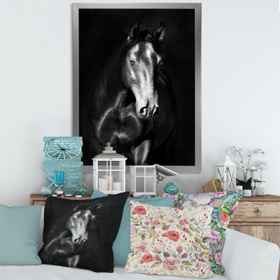 " Portrait Of Black Kladruby Horse "