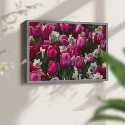 Looks like Spring -Framed Print - Restickable
