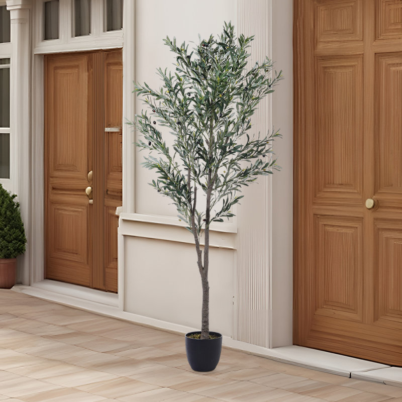 210cm Faux Bonsai Plant in Fabric；Plastic Freestanding
