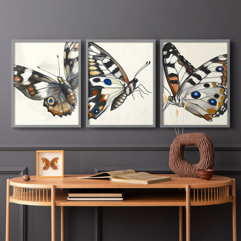 Papillons, série CXIV - ensemble de 3 estampes numériques - prêt à être accroché, Gris, H 10 po x l 8 po