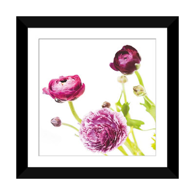 « spring renoncule ii », impression sur toile tendue