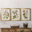 «Vintage Flowering Trees II», ensemble de 3 impressions sur toile encadrées-428839006-428839001