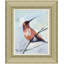 Rufous Hummingbird Painting by Joseph Mota