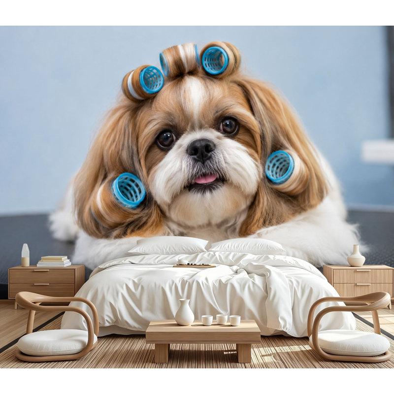 Papier peint auto-adhésif Cavalier King Charles Spaniel, L 100,08 po x l 144 po