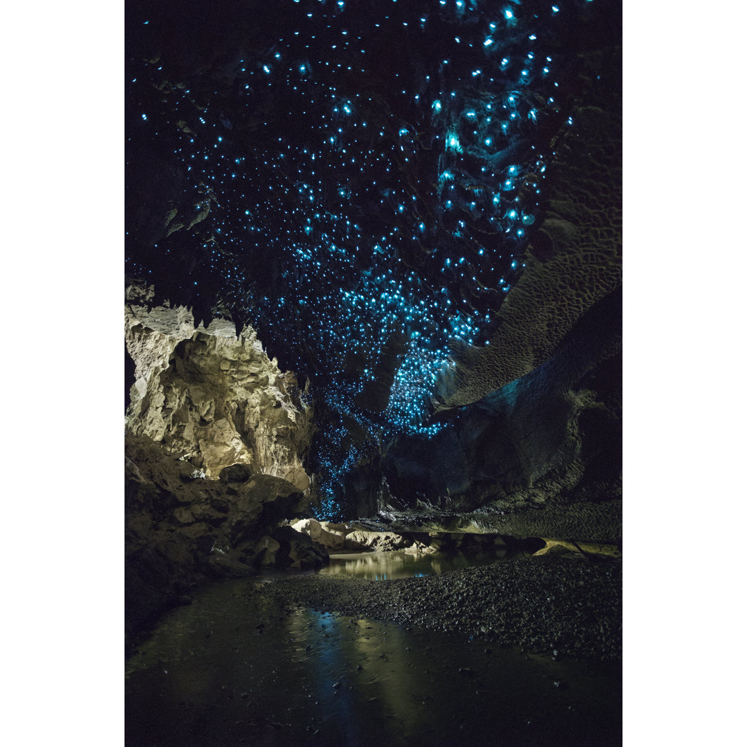 Glühwürmchen leuchten hell in den Waipu-Höhlen, Neuseeland von CreativeMoments - Kunstdrucke ohne Rahmen auf Leinwand