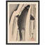 "Carpe sautant par-dessus les vagues"-101825463-101825464