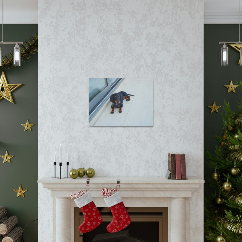 Art mural majestueux, impression de teckel, H 18 po x l 24 po