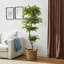 Amee 61" H Creative Shaped Faux Ficus Tree in Pot