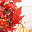 Arbre de jardin en forme de bourgogne 36 po H 20 po