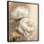 Black Floater Framed