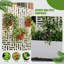 Boîte à fleurs en métal avec treillis Abraham-438424146-432850058-386063997
