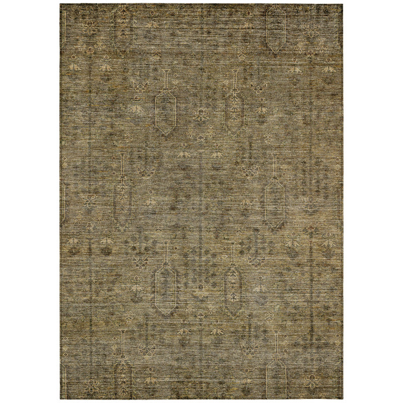 Chamaya Southwestern Indoor / Outdoor Rug, Rectangle 2'6" x 3'10"