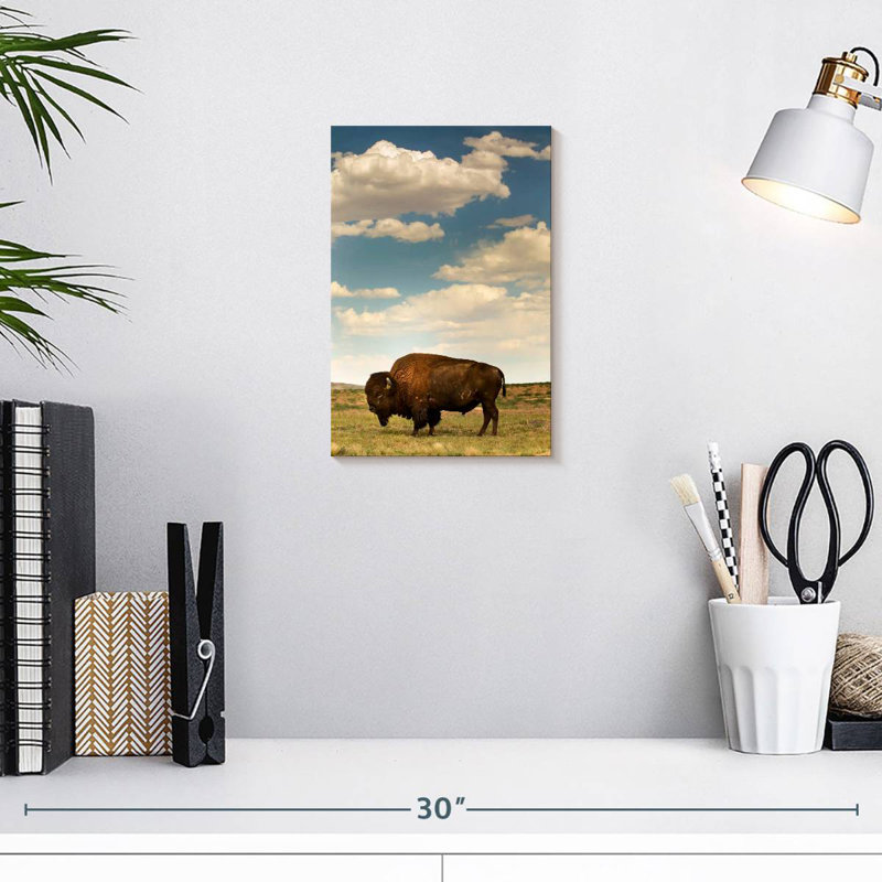 Bison des Rocheuses Brampt, H 12 po x l 8 po