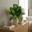 60 cm H Faux Plant-127680996