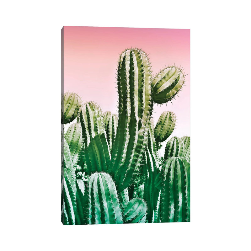 Wild Cactus from the Desert 1 Piece Wrapped Canvas Wall Art, 66.04 cm H x 45.72 cm W x 3.175 cm D