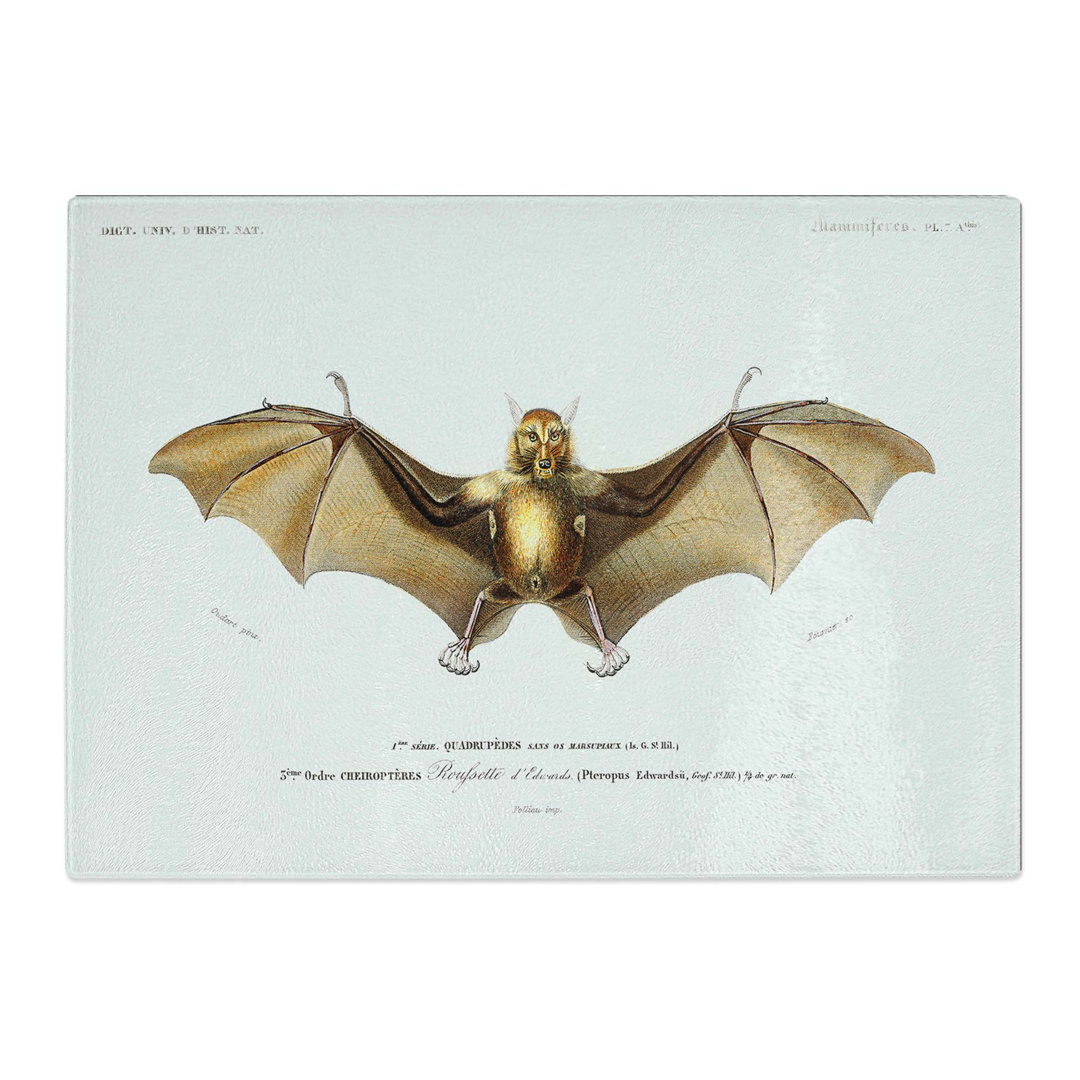Tempered Glass Bat Illustration by Charles D' Orbigny Chopping Board