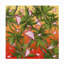 Toile d'extérieur Casen Mark Ashkenazi «Summer Time 2»-87945779