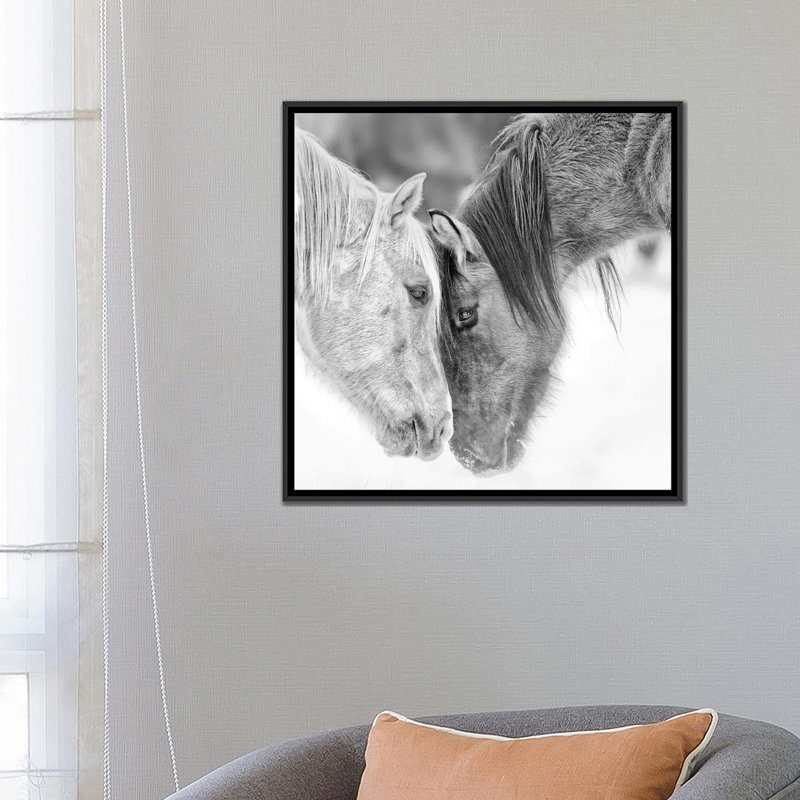 « b&w chevaux vii », reproduction de photo sur toile, H 18 po x l 18 po x p 1,5 po, Toile avec cadre flottant noir