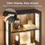 Display Cabinet